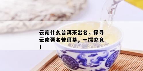 云南什么普洱茶出名，探寻云南著名普洱茶，一探究竟！