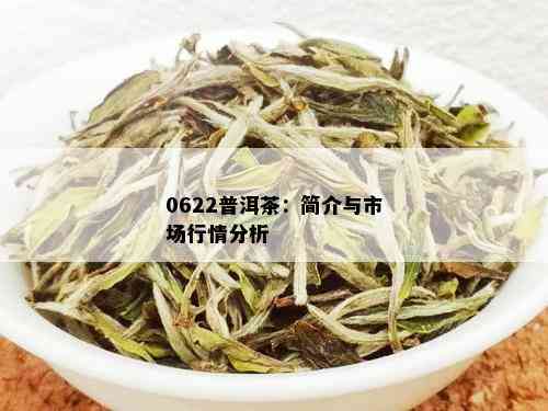 0622普洱茶：简介与市场行情分析