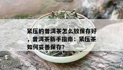 紧压的普洱茶怎么放保存好，普洱茶新手指南：紧压茶如何妥善保存？