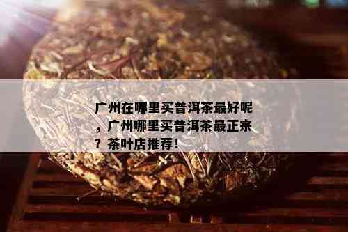 广州在哪里买普洱茶更好呢，广州哪里买普洱茶最正宗？茶叶店推荐！