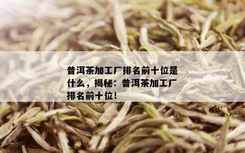 普洱茶加工厂排名前十位是什么，揭秘：普洱茶加工厂排名前十位！