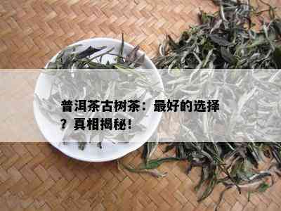 普洱茶古树茶：更好的选择？真相揭秘！