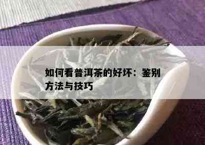 如何看普洱茶的好坏：鉴别方法与技巧