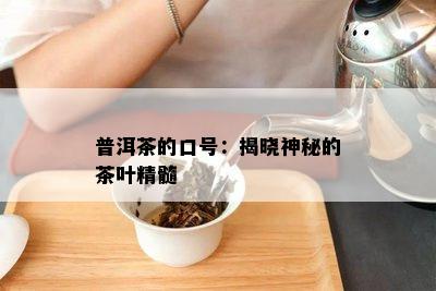 普洱茶的口号：揭晓神秘的茶叶精髓