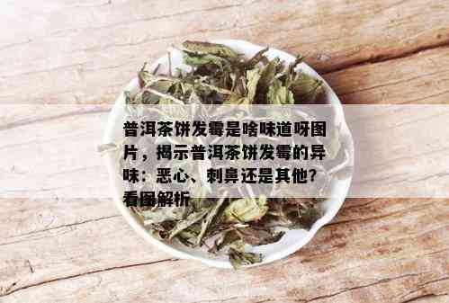 普洱茶饼发霉是啥味道呀图片，揭示普洱茶饼发霉的异味：恶心、刺鼻还是其他？看图解析