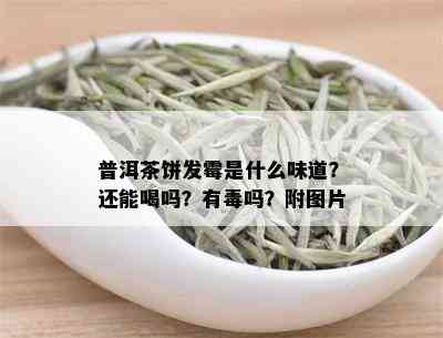 普洱茶饼发霉是什么味道？还能喝吗？有吗？附图片