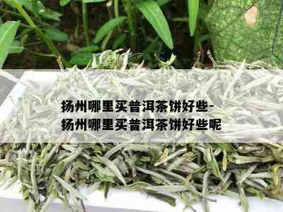 扬州哪里买普洱茶饼好些-扬州哪里买普洱茶饼好些呢