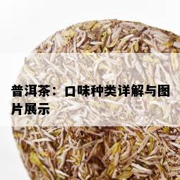 普洱茶：口味种类详解与图片展示