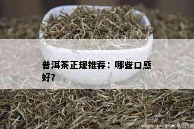 普洱茶正规推荐：哪些口感好？