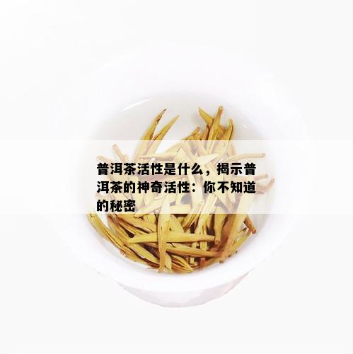 普洱茶活性是什么，揭示普洱茶的神奇活性：你不知道的秘密