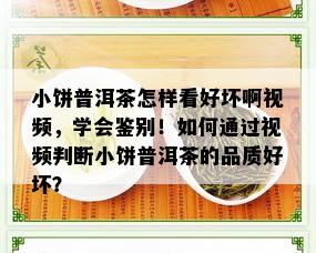 小饼普洱茶怎样看好坏啊视频，学会鉴别！如何通过视频判断小饼普洱茶的品质好坏？