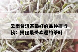 云南普洱茶更好的品种排行榜：揭秘更受欢迎的茶叶