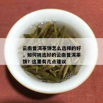 云南普洱茶饼怎么选择的好，如何挑选好的云南普洱茶饼？这里有几点建议