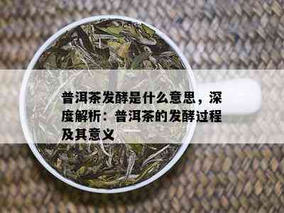 普洱茶发酵是什么意思，深度解析：普洱茶的发酵过程及其意义