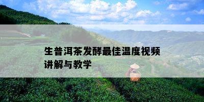 生普洱茶发酵更佳温度视频讲解与教学