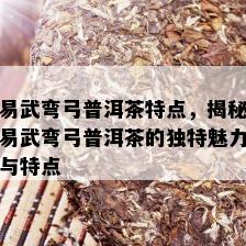 易武弯弓普洱茶特点，揭秘易武弯弓普洱茶的独特魅力与特点