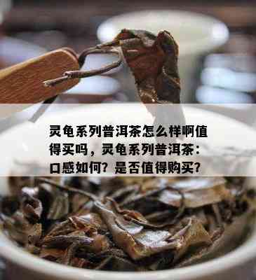 灵龟系列普洱茶怎么样啊值得买吗，灵龟系列普洱茶：口感如何？是否值得购买？