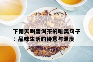 下雨天喝普洱茶的唯美句子：品味生活的诗意与温度