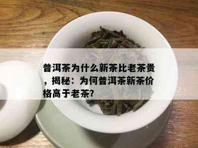 普洱茶为什么新茶比老茶贵，揭秘：为何普洱茶新茶价格高于老茶？