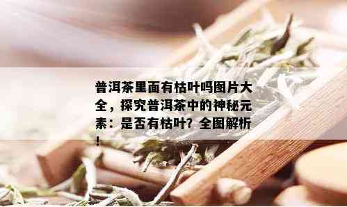 普洱茶里面有枯叶吗图片大全，探究普洱茶中的神秘元素：是否有枯叶？全图解析！