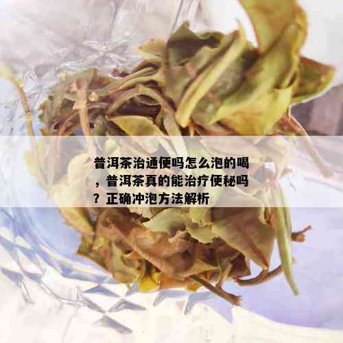 普洱茶治通便吗怎么泡的喝，普洱茶真的能治疗便秘吗？正确冲泡方法解析