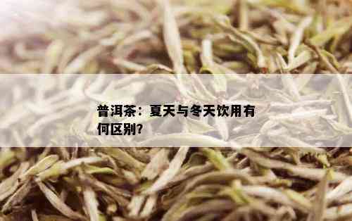 普洱茶：夏天与冬天饮用有何区别？