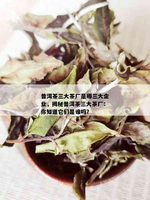 普洱茶三大茶厂是哪三大企业，揭秘普洱茶三大茶厂：你知道它们是谁吗？