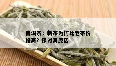 普洱茶：新茶为何比老茶价格高？探讨其原因