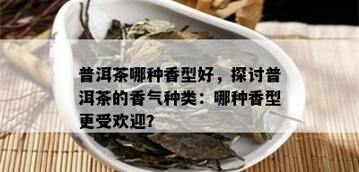 普洱茶哪种香型好，探讨普洱茶的香气种类：哪种香型更受欢迎？