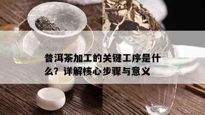 普洱茶加工的关键工序是什么？详解核心步骤与意义