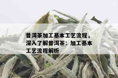 普洱茶加工基本工艺流程，深入了解普洱茶：加工基本工艺流程解析