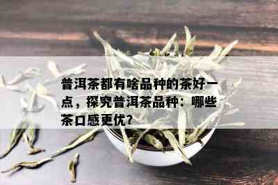 普洱茶都有啥品种的茶好一点，探究普洱茶品种：哪些茶口感更优？