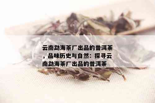 云南勐海茶厂出品的普洱茶，品味历史与自然：探寻云南勐海茶厂出品的普洱茶