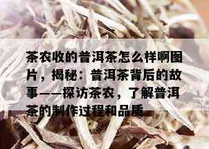 茶农收的普洱茶怎么样啊图片，揭秘：普洱茶背后的故事——探访茶农，了解普洱茶的制作过程和品质