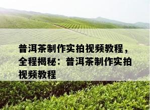 普洱茶制作实拍视频教程，全程揭秘：普洱茶制作实拍视频教程