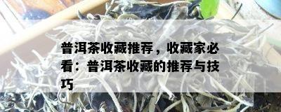 普洱茶收藏推荐，收藏家必看：普洱茶收藏的推荐与技巧