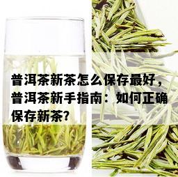 普洱茶新茶怎么保存更好，普洱茶新手指南：如何正确保存新茶？