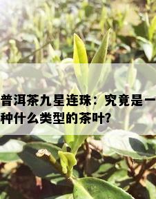 普洱茶九星连珠：究竟是一种什么类型的茶叶？