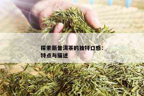 探索新普洱茶的独特口感：特点与描述