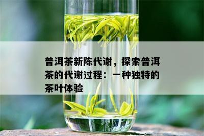 普洱茶新陈代谢，探索普洱茶的代谢过程：一种独特的茶叶体验