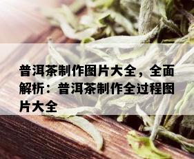 普洱茶制作图片大全，全面解析：普洱茶制作全过程图片大全