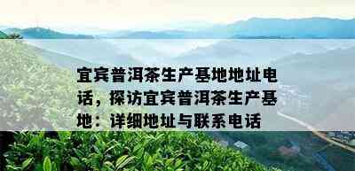 宜宾普洱茶生产基地地址电话，探访宜宾普洱茶生产基地：详细地址与联系电话