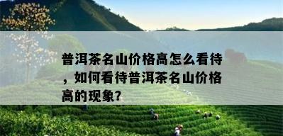 普洱茶名山价格高怎么看待，如何看待普洱茶名山价格高的现象？