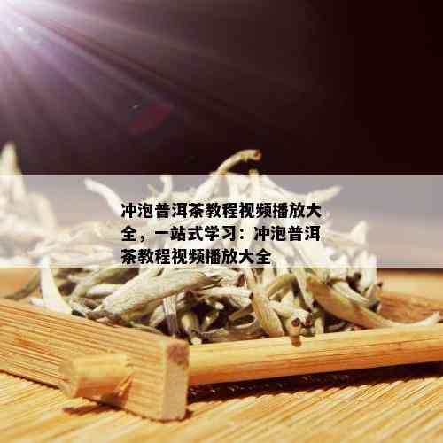 冲泡普洱茶教程视频播放大全，一站式学习：冲泡普洱茶教程视频播放大全