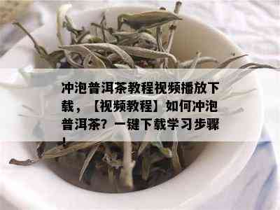 冲泡普洱茶教程视频播放下载，【视频教程】如何冲泡普洱茶？一键下载学习步骤！