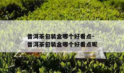 普洱茶包装盒哪个好看点-普洱茶包装盒哪个好看点呢