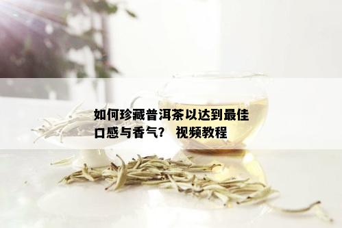 如何珍藏普洱茶以达到更佳口感与香气？ 视频教程