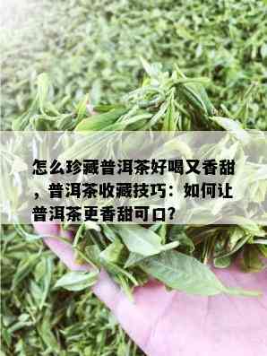 怎么珍藏普洱茶好喝又香甜，普洱茶收藏技巧：如何让普洱茶更香甜可口？