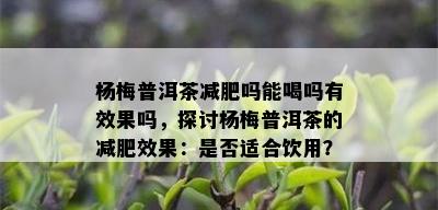 杨梅普洱茶减肥吗能喝吗有效果吗，探讨杨梅普洱茶的减肥效果：是否适合饮用？