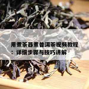 用煮茶器煮普洱茶视频教程：详细步骤与技巧讲解